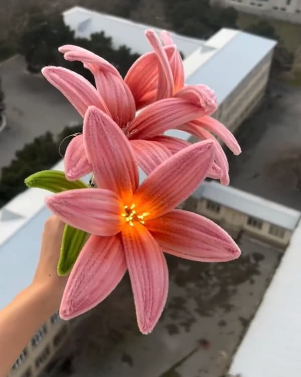 Hədiyyə Gül